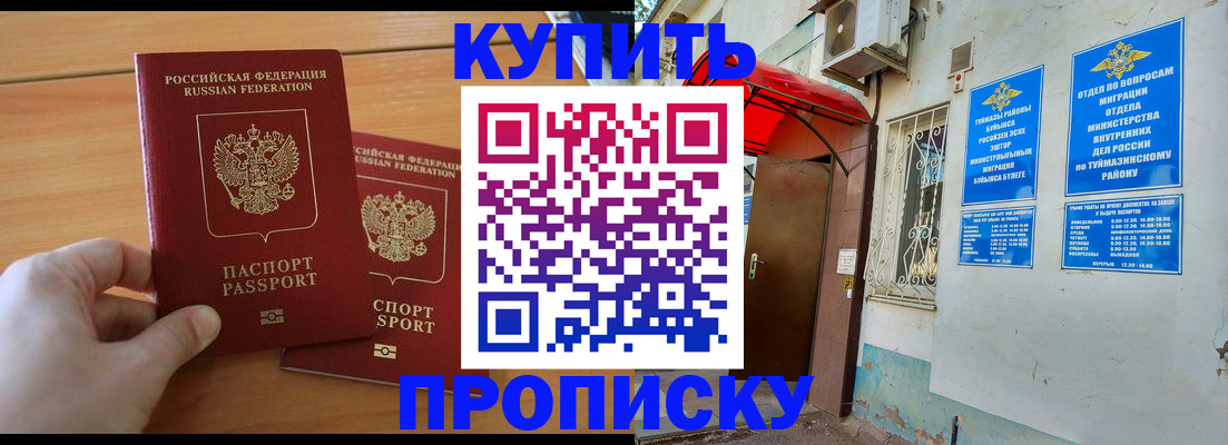 прописка штамп в Долгопрудном